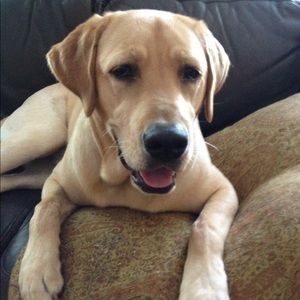 Meet your Posher, Janiece